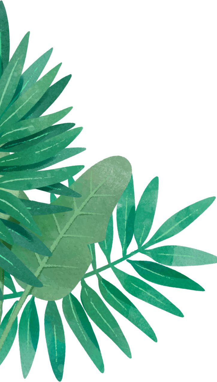 Welcome To The Woodleigh Mall